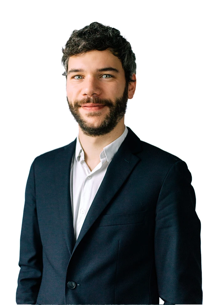 pierre louis schaming